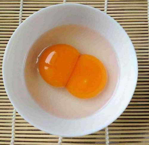 广州供卵包成功,广州哪些医院能冻卵
