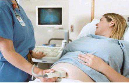 广州代孕辅助生殖中心代孕套餐|试管婴儿移植后饮食的选择要求