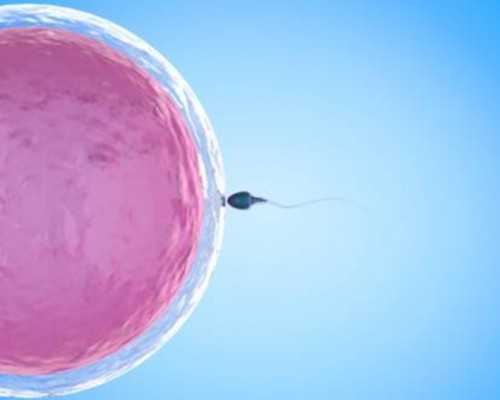 广州代孕可选男女|做试管婴儿怎样避免染色体异常？