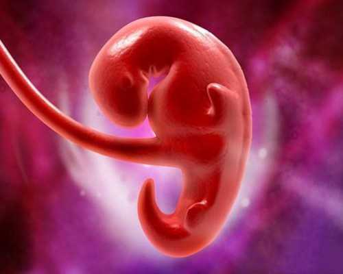 广州有代孕机构吗|多囊卵巢2年，在甘肃酒泉可以做三代试管选男孩吗？
