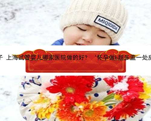 上海高龄借卵生子 上海试管婴儿哪家医院做的好? ‘怀孕做b超多盖一处房确定